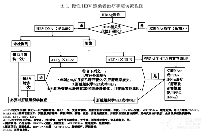 2019年版慢乙肝指南即將發布，抗病毒適應癥放寬啦！