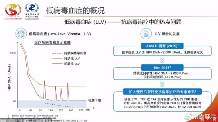 【會議擷萃】胡鵬教授：慢乙肝低病毒血癥的研究進展
