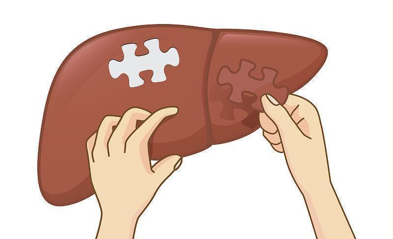 乙肝病毒感染為什么很難徹底治愈？