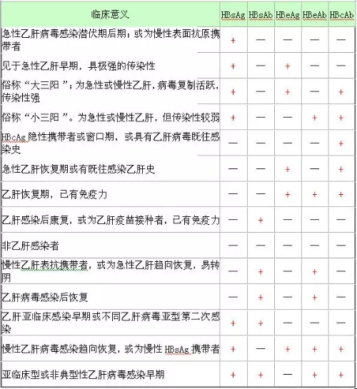 乙肝的知識普及