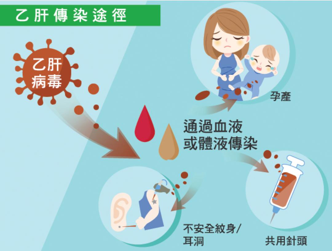 預防乙肝科普知識
