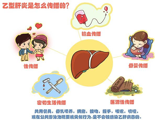 乙肝究竟怎么預防