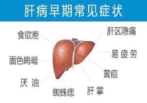 乙肝患者如何保??？